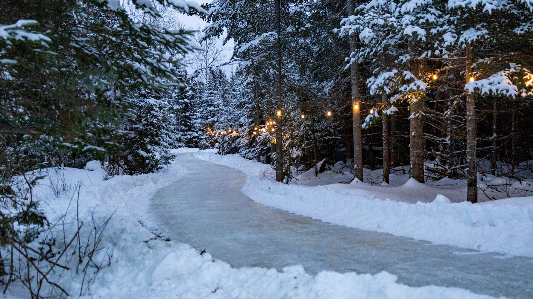 Escapade hivernale dans la forêt (Frostival de Fredericton)