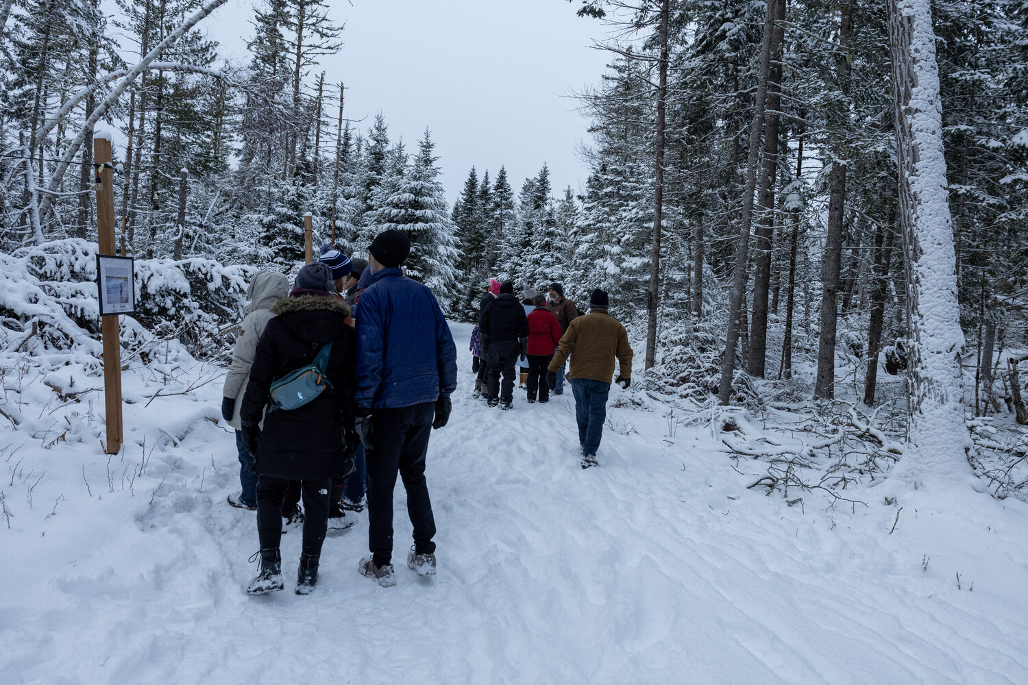 Une promenade hivernale à Mactaquac