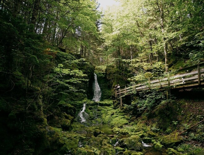 Parc provincial du sentier Fundy