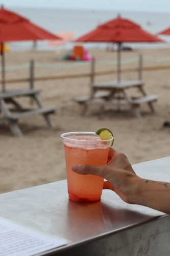 Cabane sur la plage du Euston Park