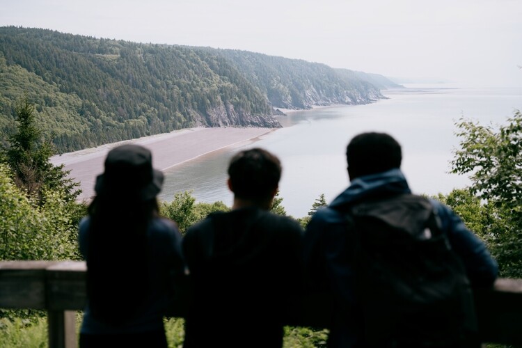 Observation Decks Image