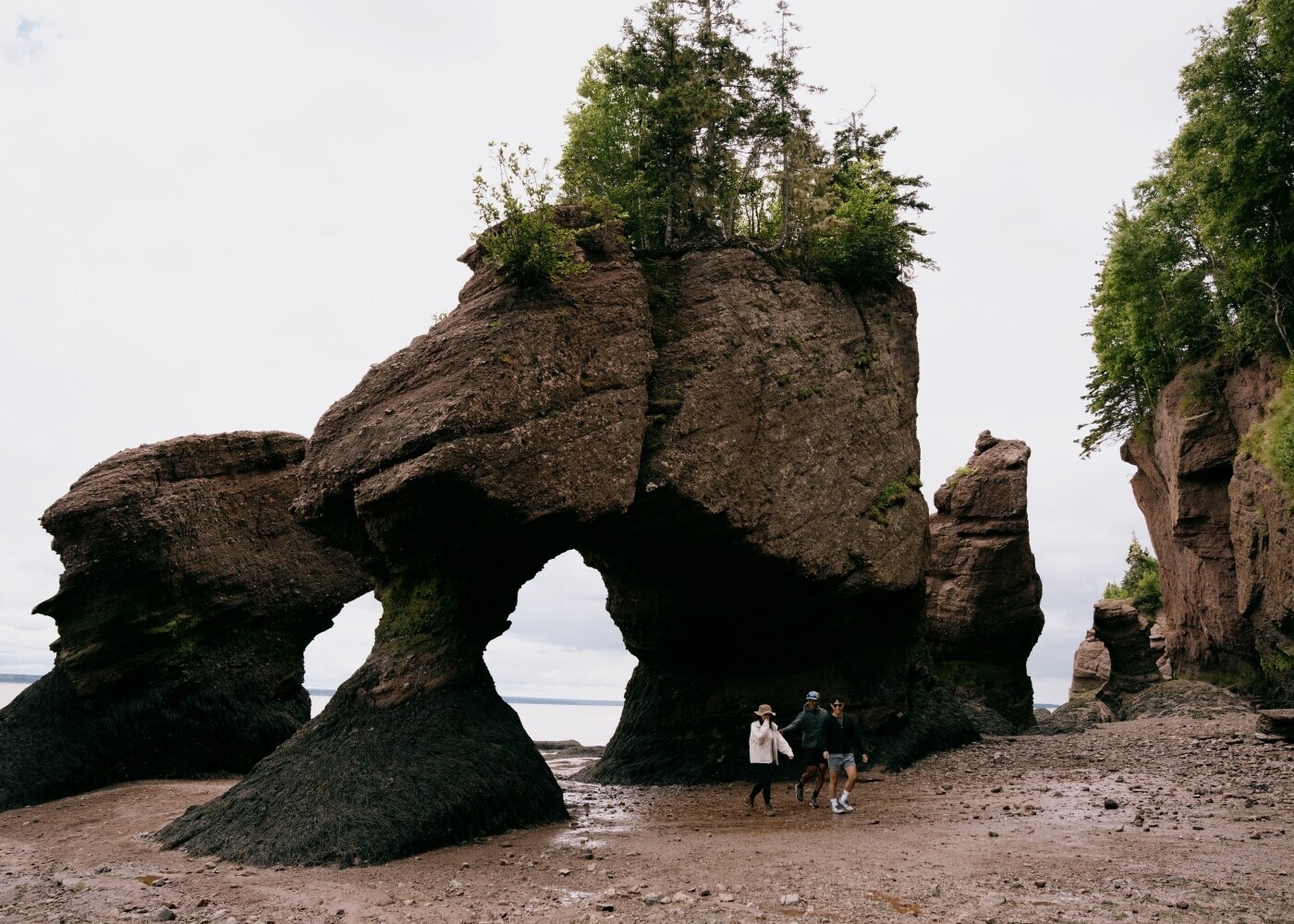 New Brunswick Resident Park Entry Discount